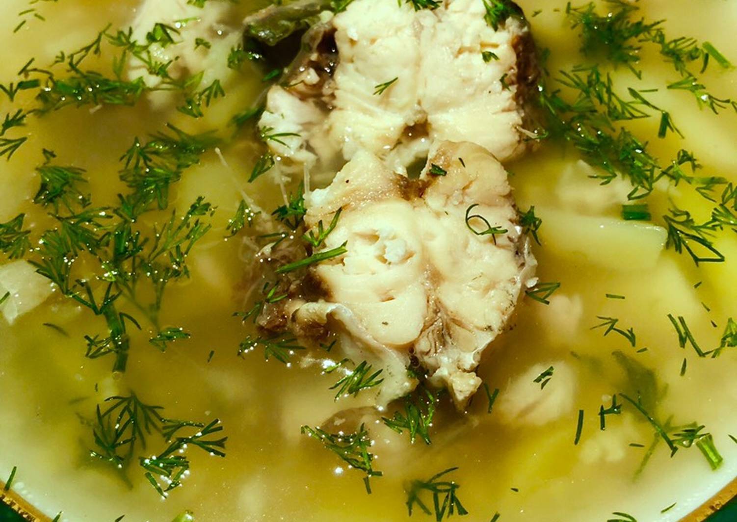Уха из толстолобика. вкусный рыбный суп от petr de cril’on