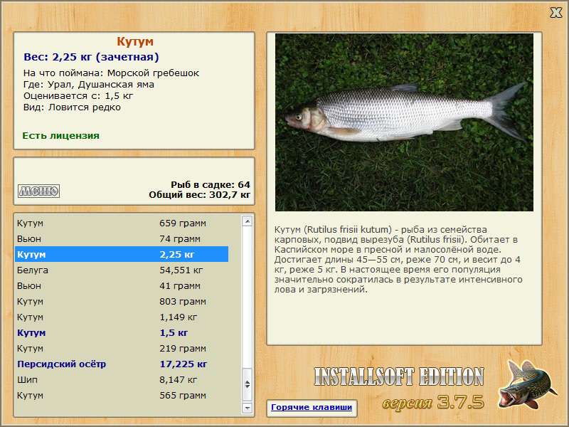 Рыба вьюн - описание, где обитает, как и на что ловить?
