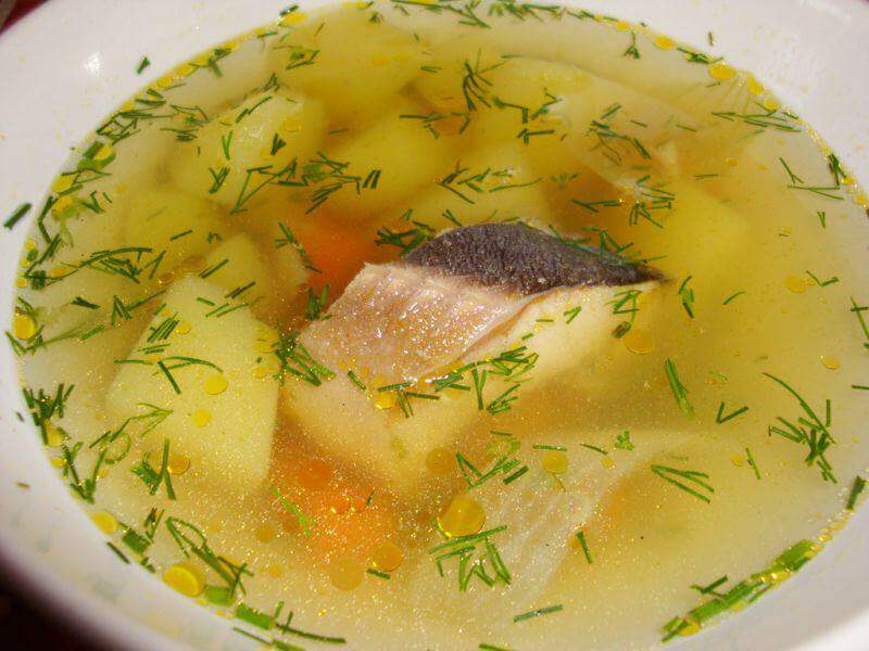 Уха из стерляди для ребенка. уха из стерляди: рецепт приготовления рыбного супа