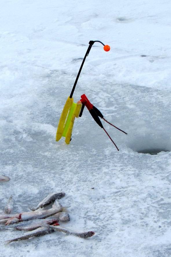 Ловля корюшки в зимний период: мушки и снасти для ловли корюшки со льда