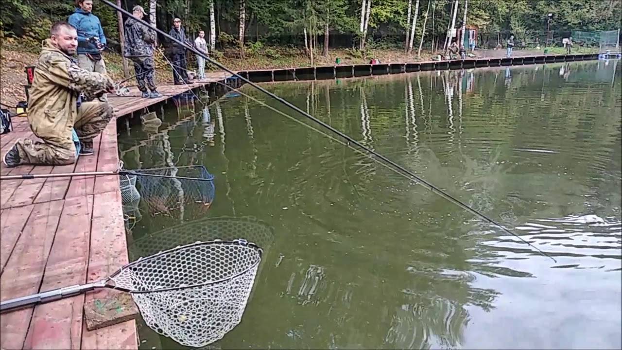Рыбалка на лосином острове: в рыбхозе «клёвое место»
