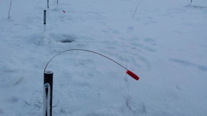 Ловля форели зимой на жерлицы: устройство и оснастка поставушки, лучшие модели, видео рыбалки