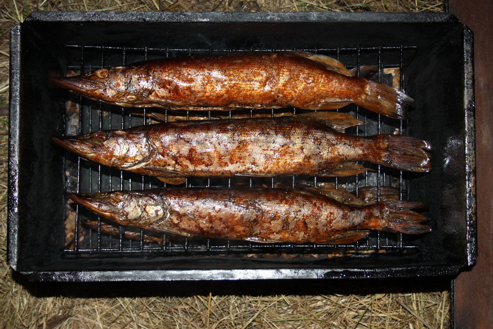 Рыба холодного копчения — технология приготовления в домашних условиях, сколько коптить по времени