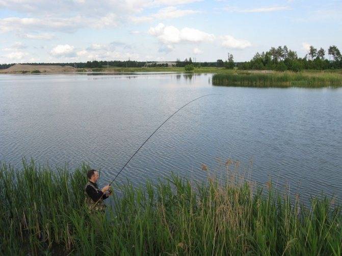 Обзор бесплатной и платной рыбалки в ногинском районе - суперулов - интернет-портал о рыбалке
