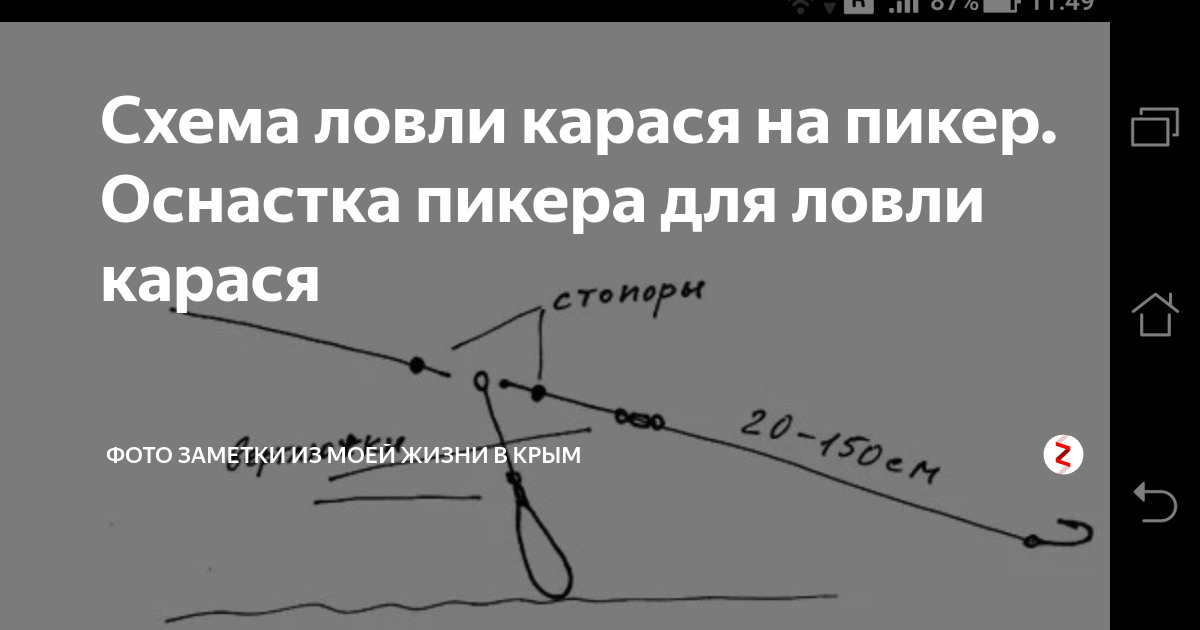 ✅ чем отличается пикер от фидера - netfishing24.ru