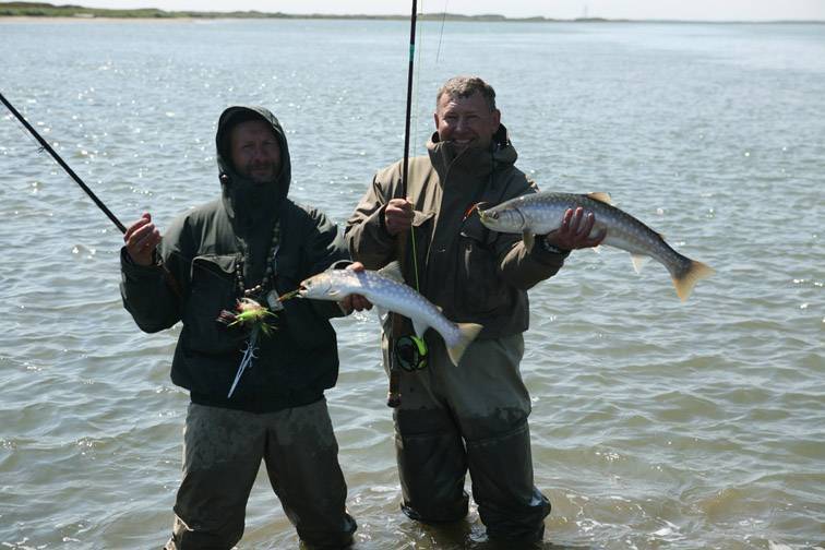 На рыбалку на белое море: что ловить, рыбные места