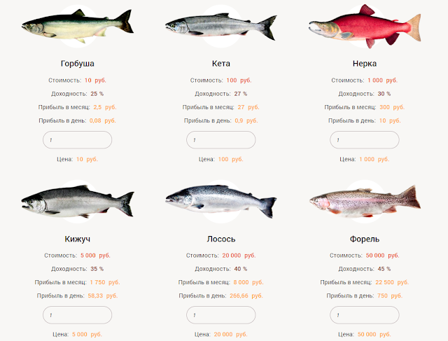 Нерка или кижуч: какая рыба лучше и жирнее, сравнение вкуса и рецепты приготовления стейков