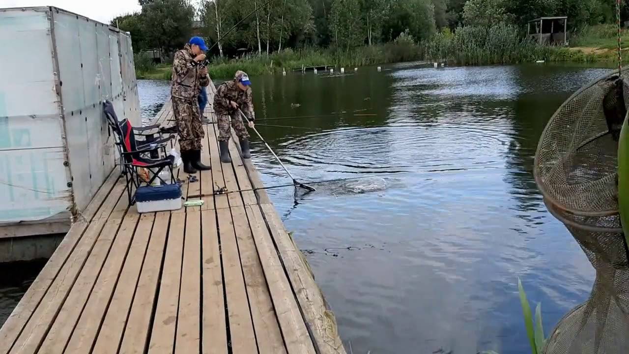 ᐉ рыбалка в мытищах, пруды рупасово - ✅ ribalka-snasti.ru