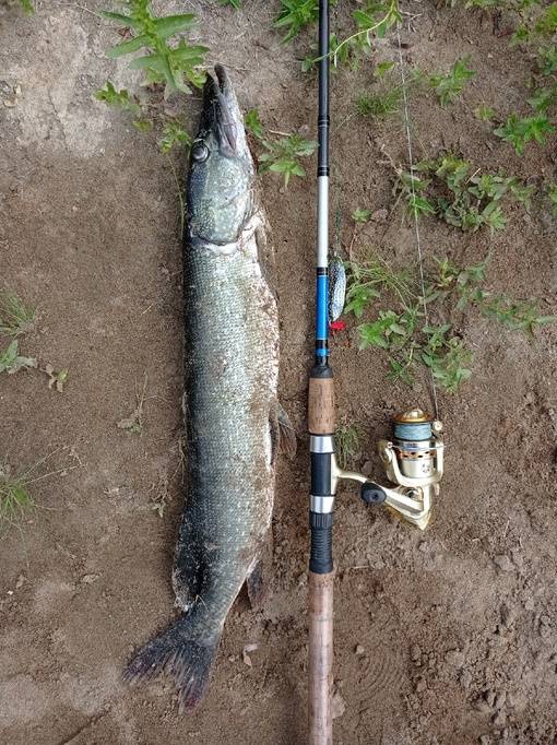 ✅ где рыбачить в оренбурге - danafish.ru