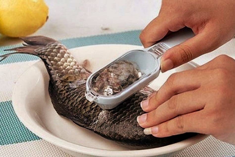 Чистка рыбы керхером