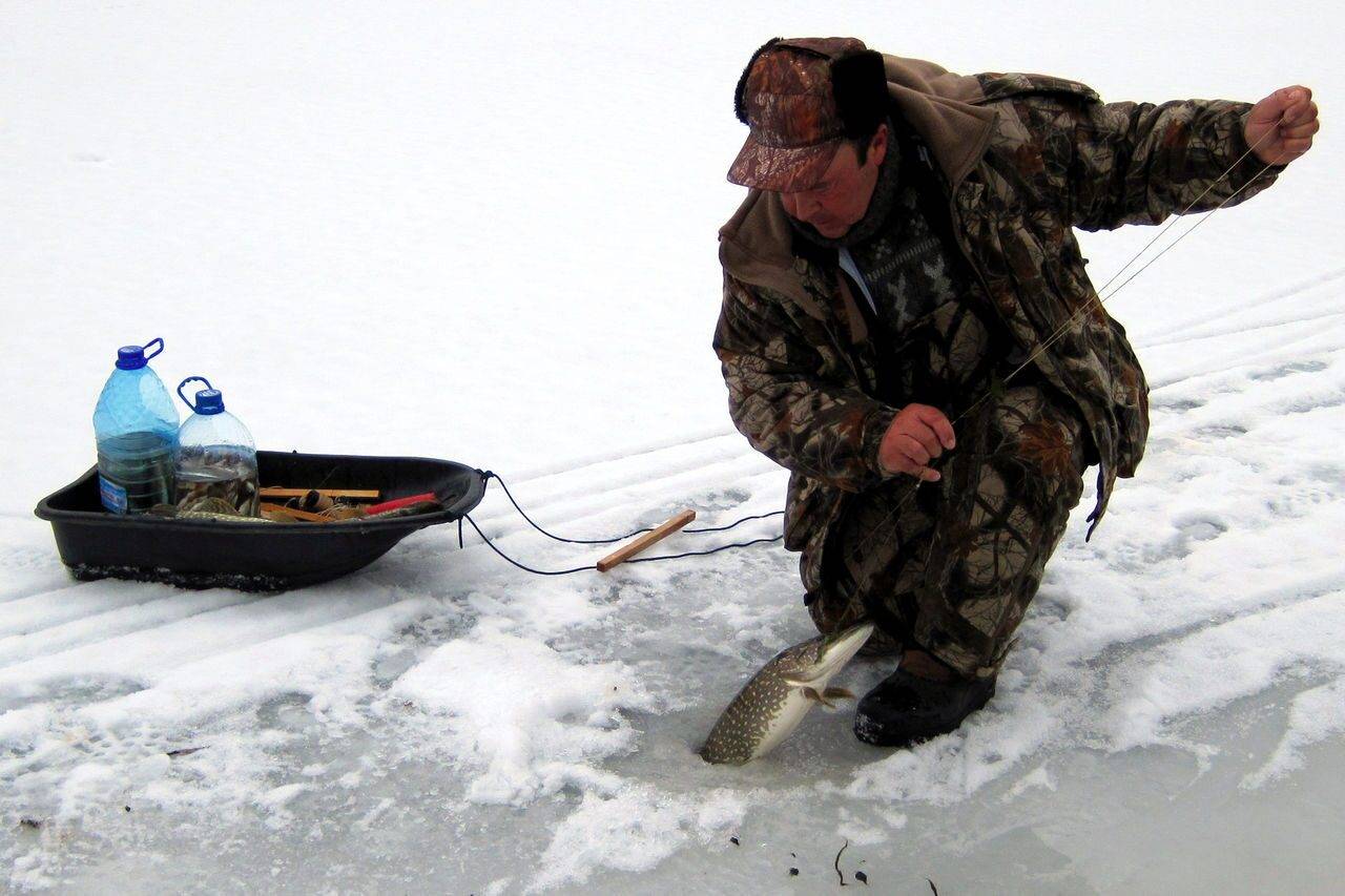 Ловля плотвы зимой - снасти, тактика рыбалки в декабре, январе, феврале
