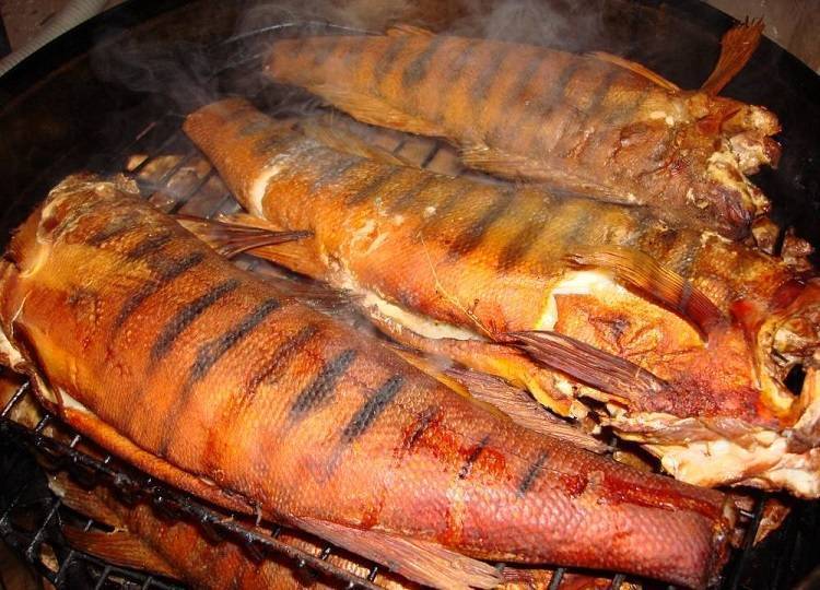 Щука копченая: секреты пикантных блюд от опытного рыбака