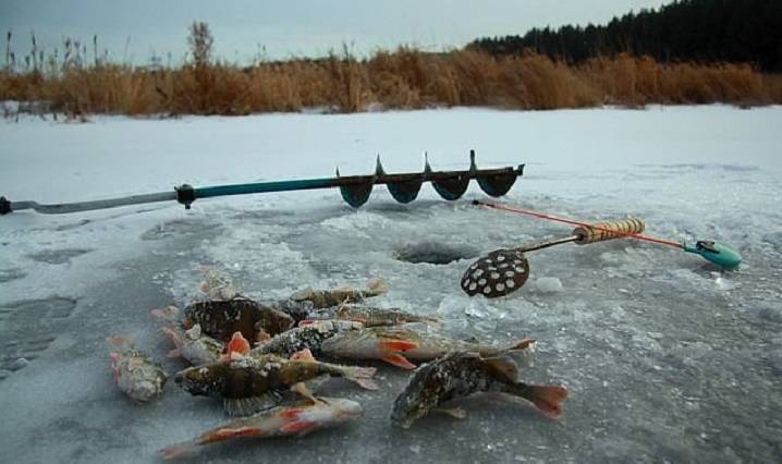 ᐉ рыбалка по первому льду: cоветы и рекомендации для рыбалки по перволедью - ✅ ribalka-snasti.ru