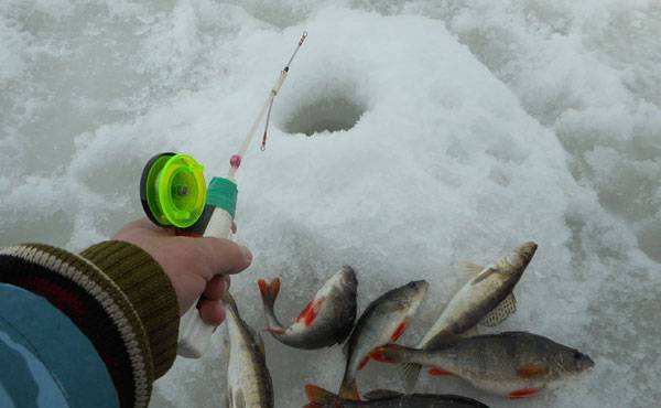Ловля на балансир зимой — подробное руководство и важные нюансы ловли балансиром на зимней рыбалке (115 фото)