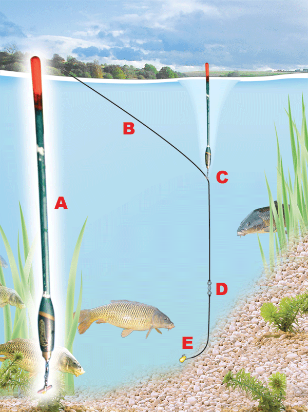 Рыбалка на карася: на что лучше ловить и как правильно?