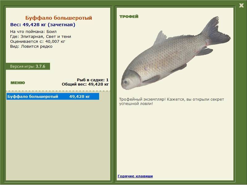 Рыба буффало: где в астрахани водится и на что ловить рыбу буффало
