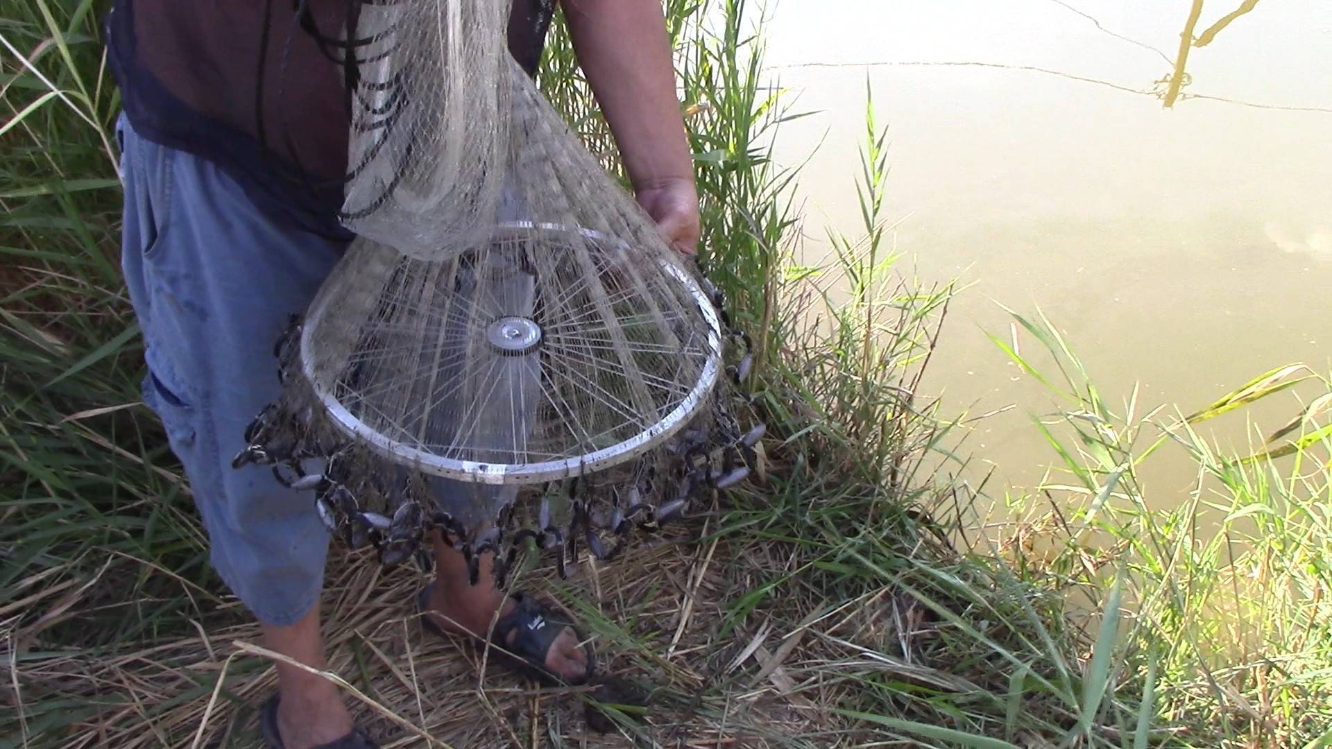 Ловля рыбы кастинговой сетью видео где и как ловить сетями