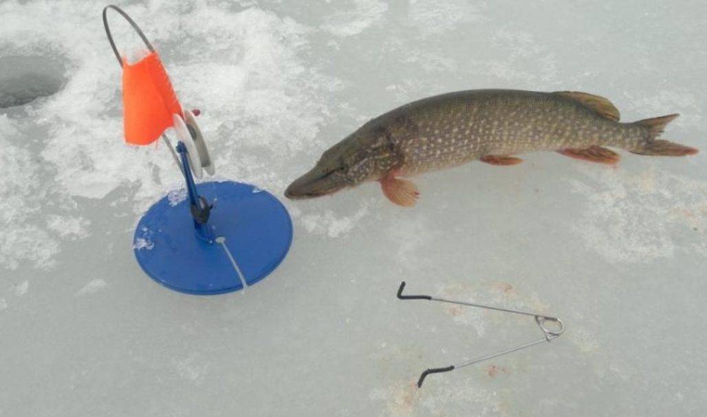 Как ловить щуку зимой— тактика поиска снасти и зимние приманки на щуку — рыбалка отдых для души