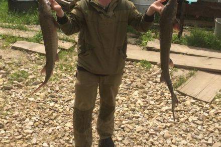 Рыбалка в деревне красное домодедовского района отзывы - все про рыбалку