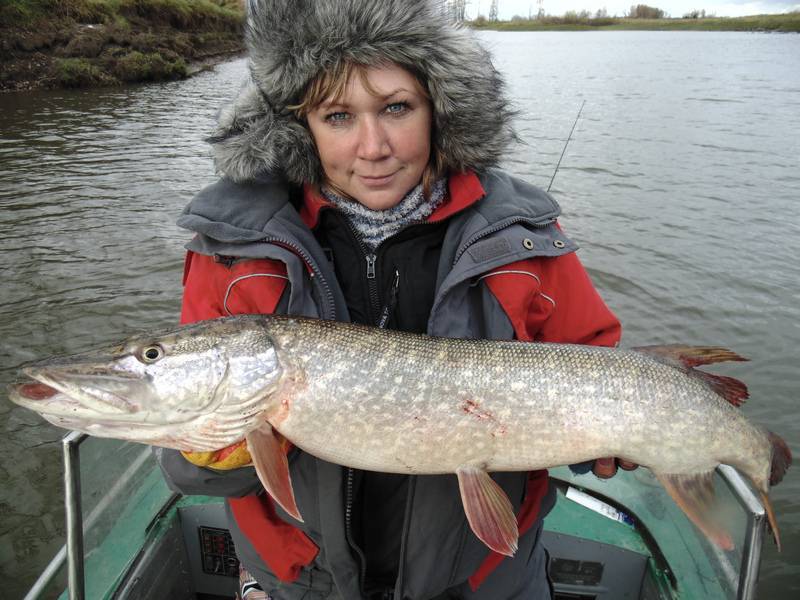 Рыбалка в оренбурге и оренбургской области, особенности ловли в реке урал и местных водохранилищах — разъясняем со всех сторон
