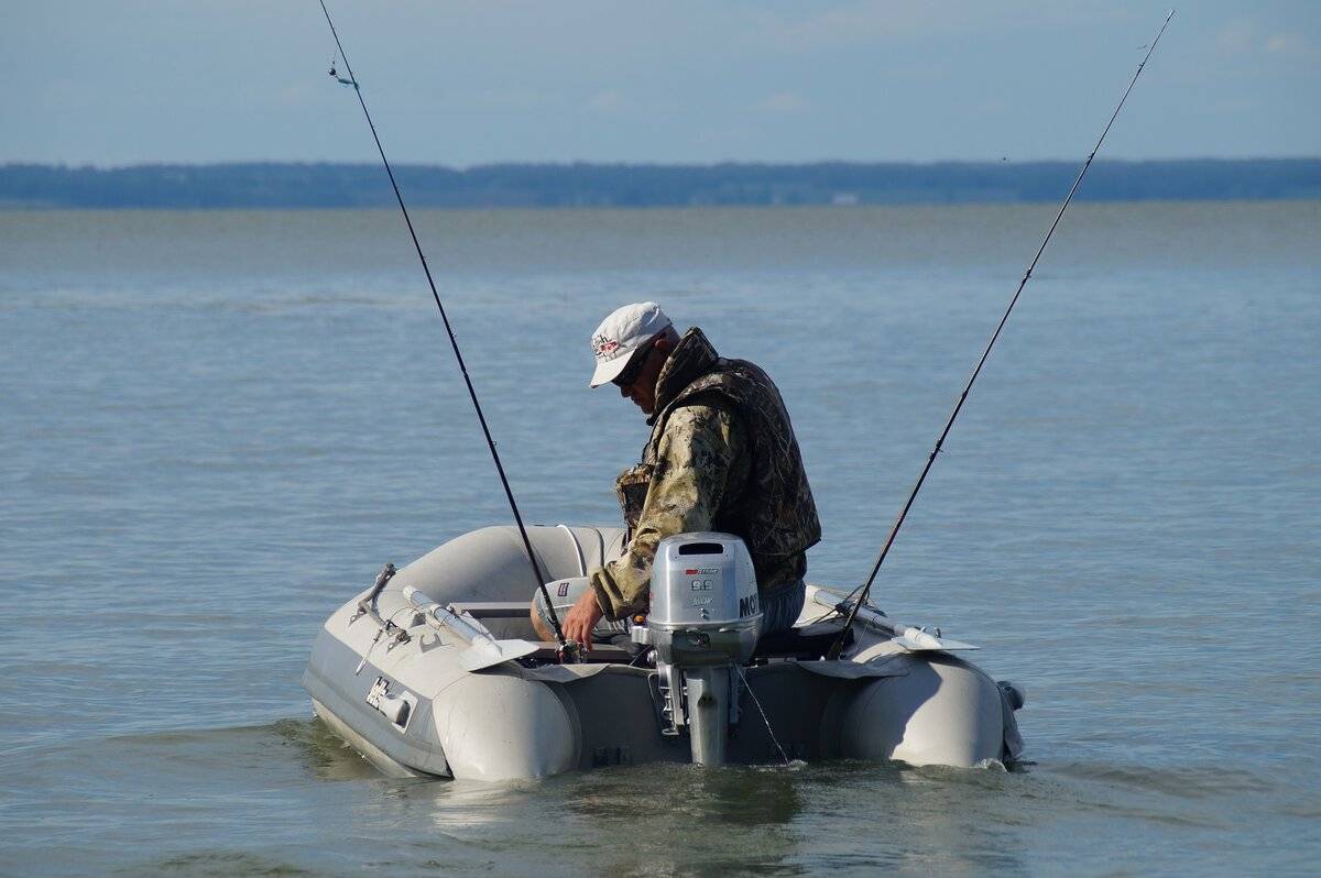 Троллинг: рыбалка для начинающих. рыбалка троллингом на лодке :: syl.ru