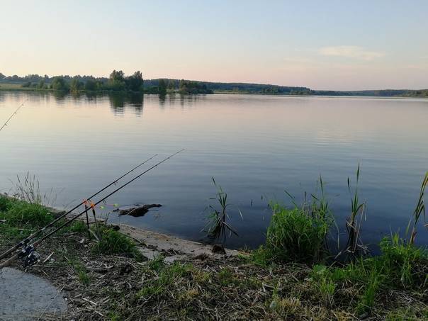 Рыбалка во владимирской области: водоемы и виды рыбы — советы и рекомендации