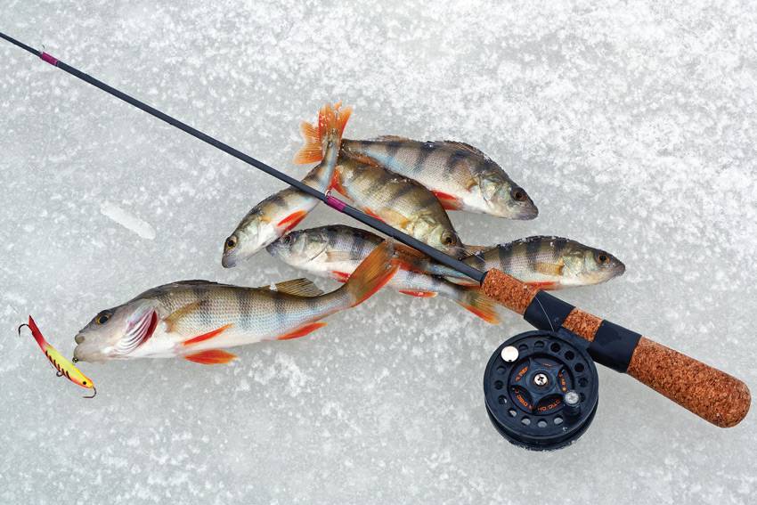 Выбор и особенности удочки для зимней рыбалки