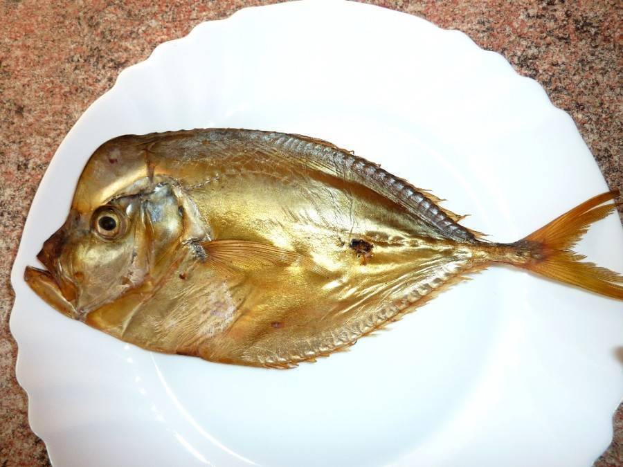 Вомер (рыба)