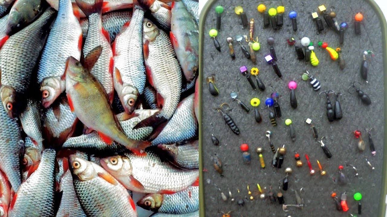 Безмотылка на плотву: обзор лучших, техника ловли. зимняя рыбалка на плотву