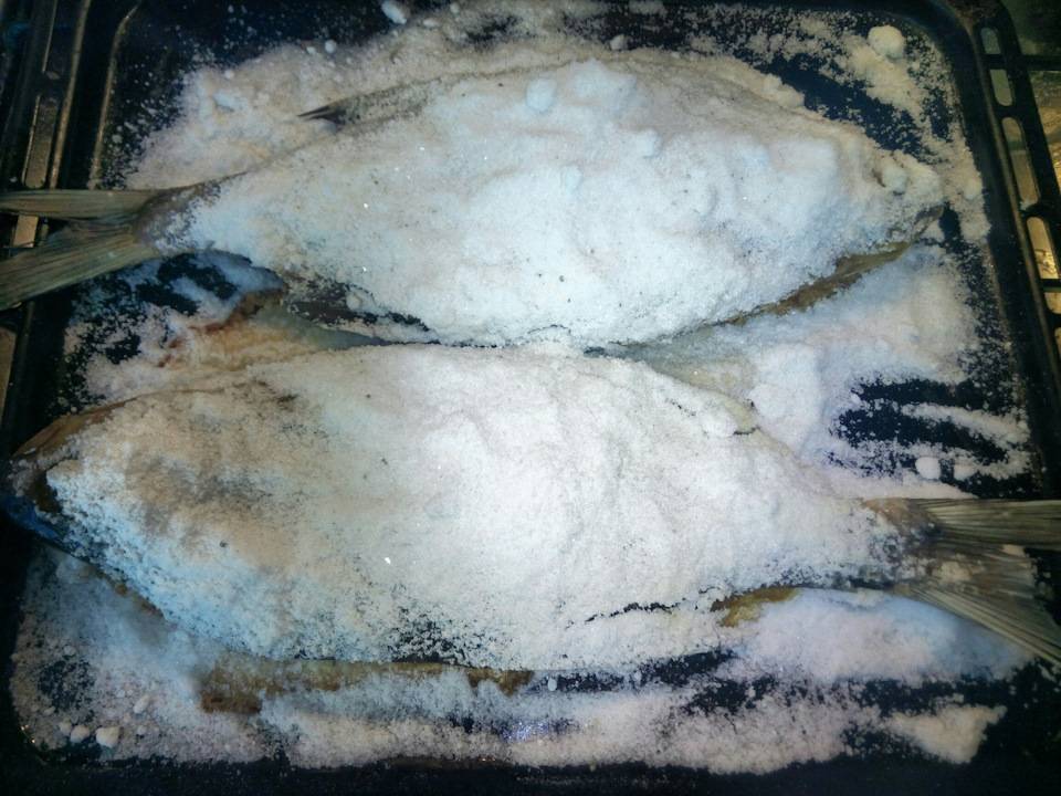Как солить рыбу для копчения: засолка в домашних условиях, приготовления соляного раствора