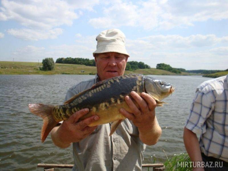 Рыбалка в белгородской области - читайте на сatcher.fish