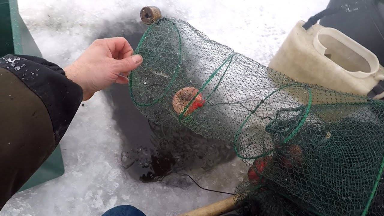 Ловля на косынки зимой — особенности рыбалки, где и когда лучше устанавливать
