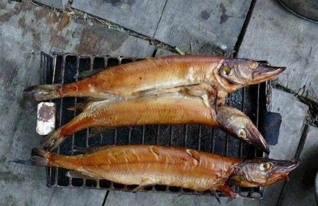 Копченая щука - подготовка рыбы и рецепты для домашней коптильни