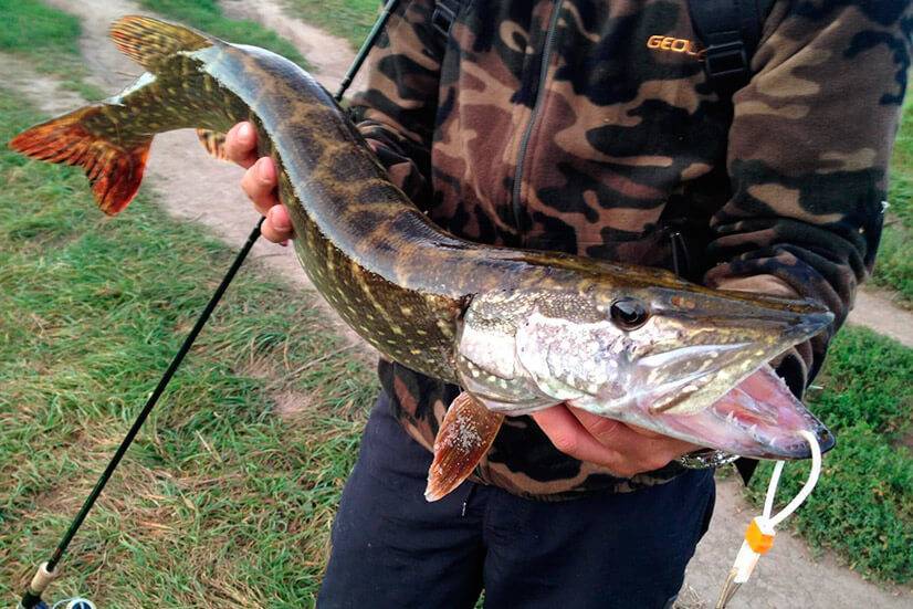 12 лучших рыболовных мест в ивановской области