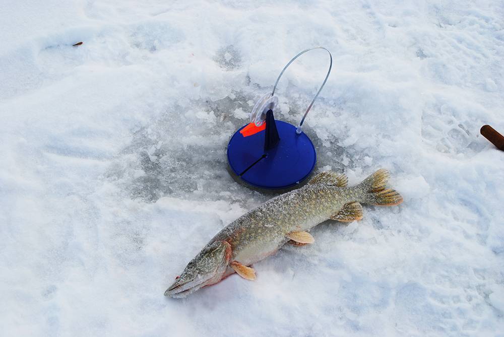 Тактические приемы на речной рыбалке зимой