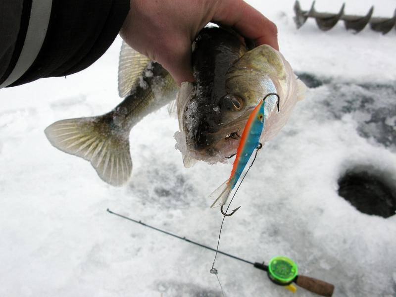 Ловля судака на балансир зимой - на рыбалке!