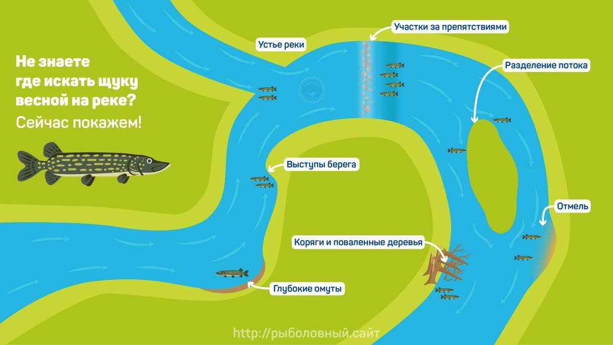 Платная рыбалка в хомяково - суперулов - интернет-портал о рыбалке