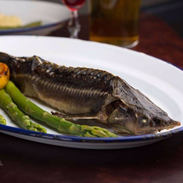 Рецепты приготовления стерляди — как приготовить быстро и вкусно, блюда в домашних условиях
