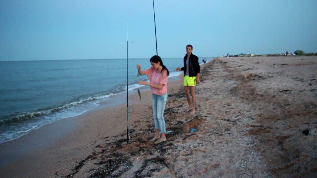 Как ловить и как поймать пеленгаса в азовском море