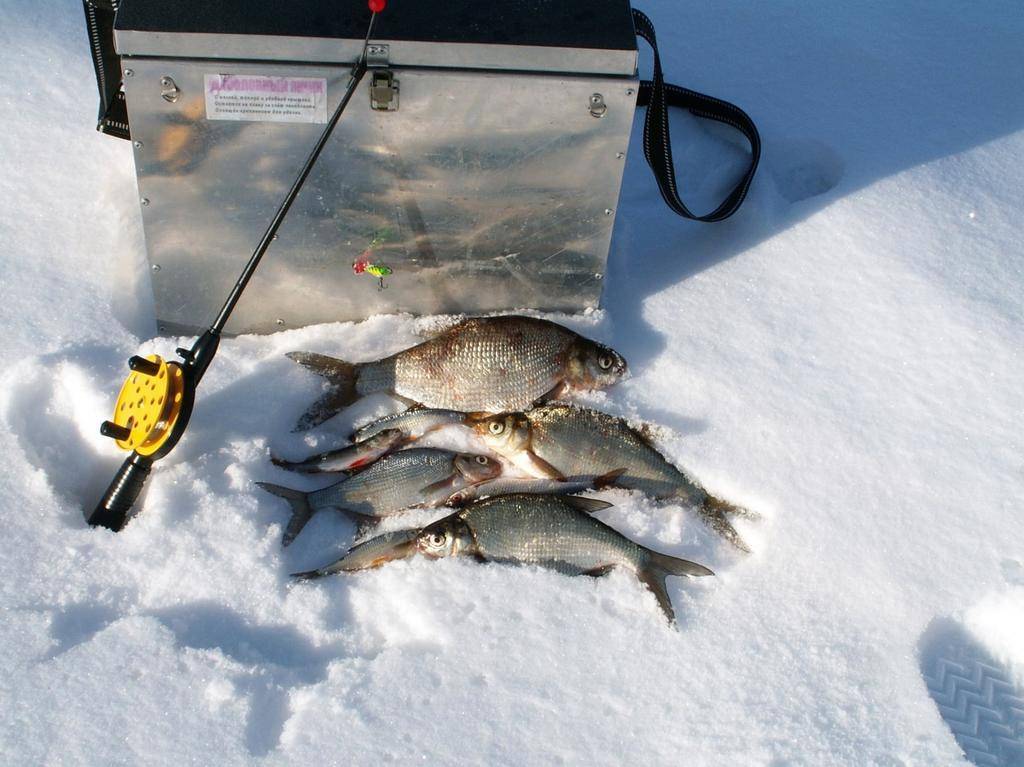 Зимняя рыбалка: краткое руководство с советами бывалых рыбаков