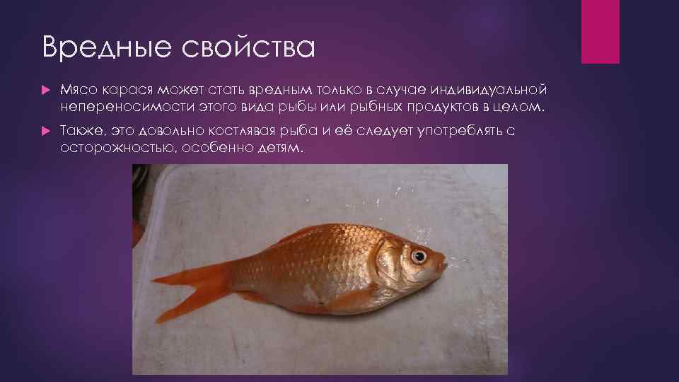 Болезни аквариумных рыбок: внешние признаки, лечение и фото