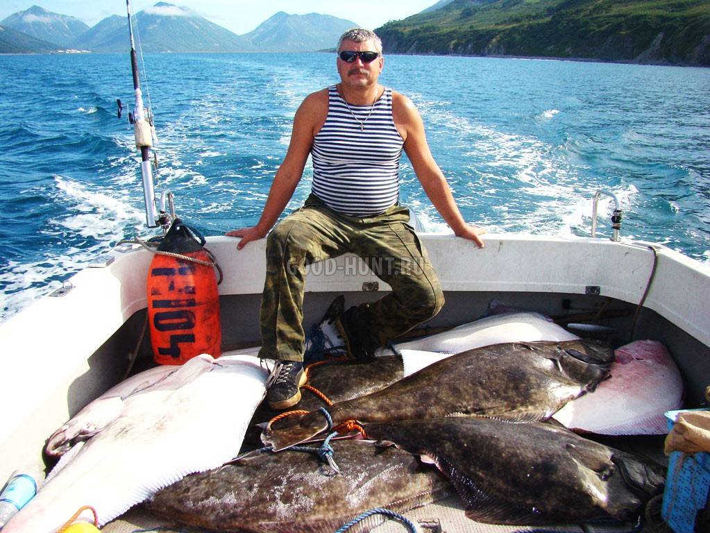 Рыбалка в камчатском краев и в петропавловске-камчатском - fishingwiki