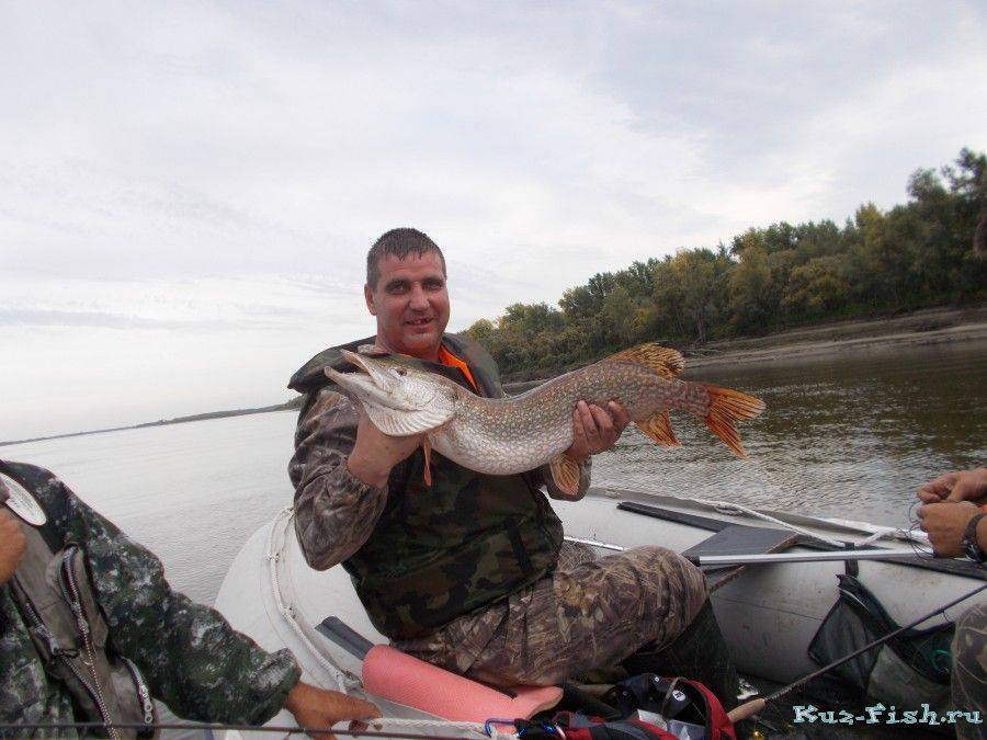 Река томь кемеровской области: особенности рыбалки, лучшие места для ловли