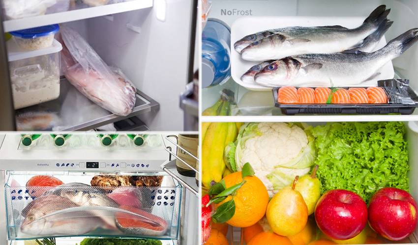 Надежные способы сохранить копченую рыбу в домашних условиях и дороге. как правильно хранить копченую рыбу в холодильнике