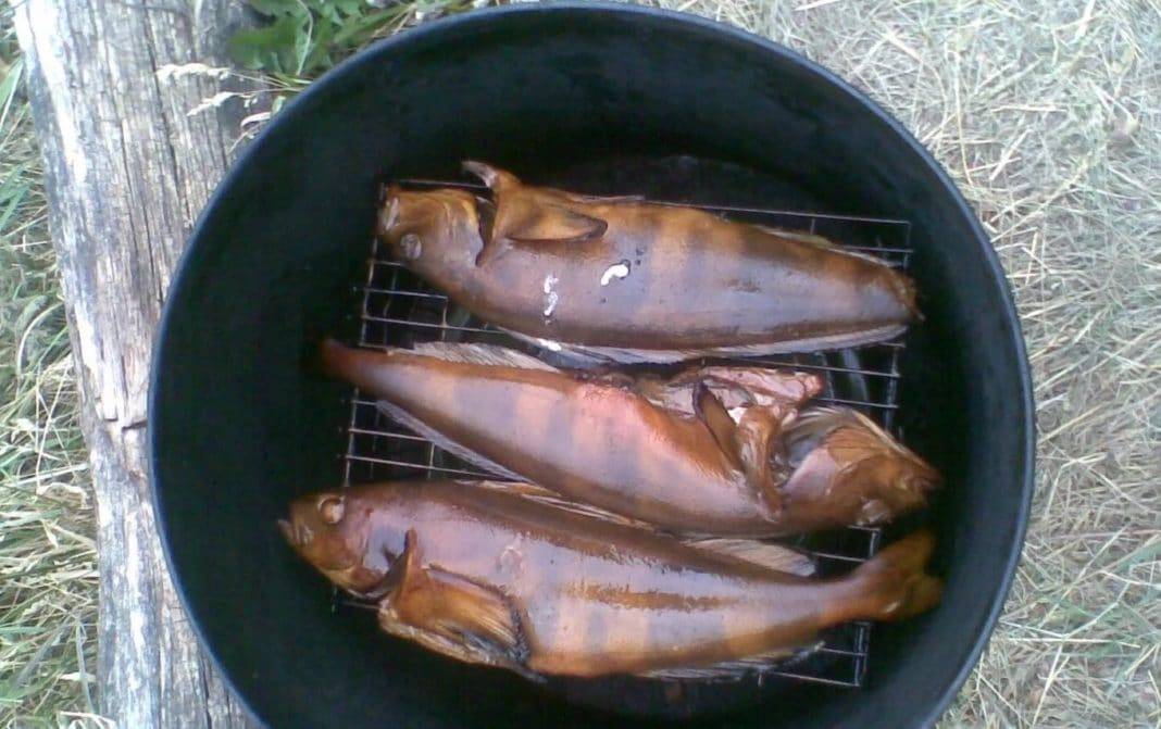 Как приготовить маринад для копчения рыбы, замариновать рыбу для горячего и холодного копчения