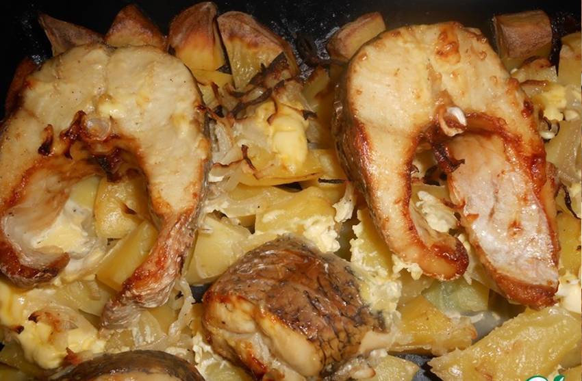 Щука в духовке с картофелем: рецепт и советы по приготовлению