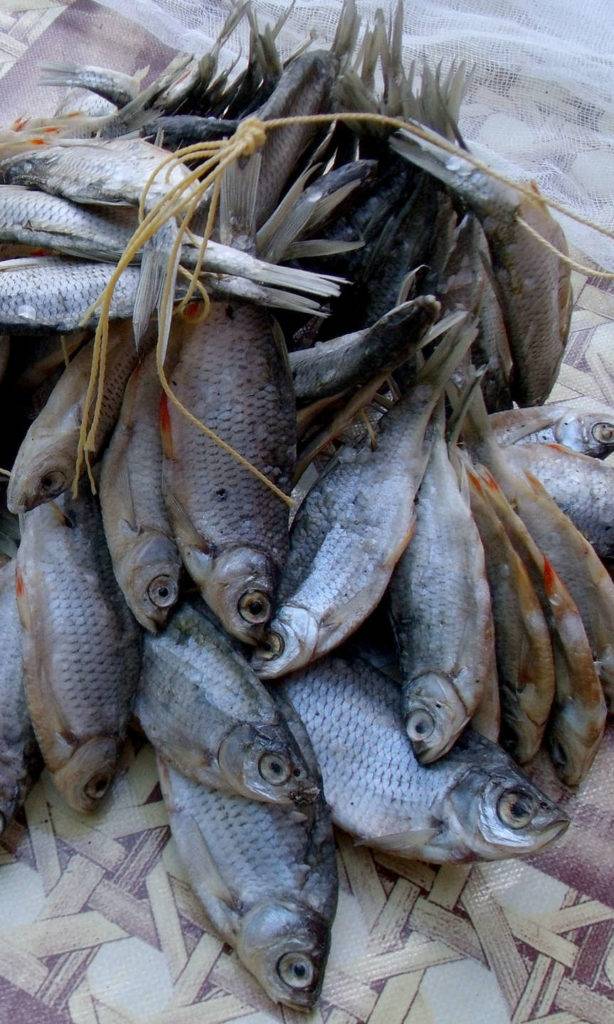 Как хранить вяленую рыбу в домашних условиях: сроки, условия, лучшие способы
