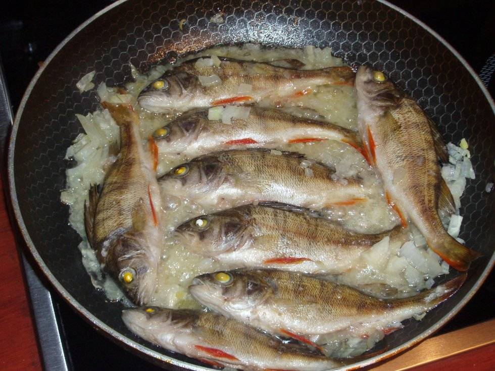 Как приготовить морского окуня в духовке? простые и вкусные рецепты приготовления