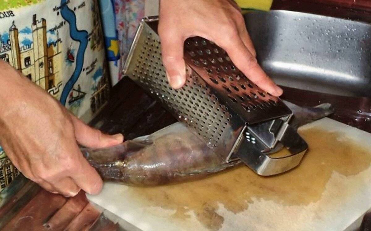 Как чистить рыбу, чтобы не летела чешуя: быстро в домашних условиях чистим судака, горбушу, карася и другие виды