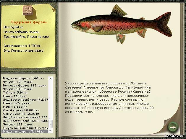 Форель рыба: ее виды и отличия, как выглядит, где водится, и когда нерест форели